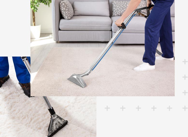 Lethbridge Carpet Cleaner